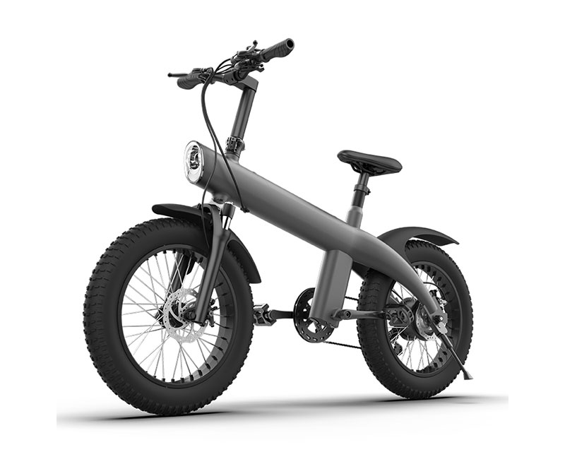 Terénní terénní elektrické kolo Q3-750W 20*4,0 palce Fat Tire